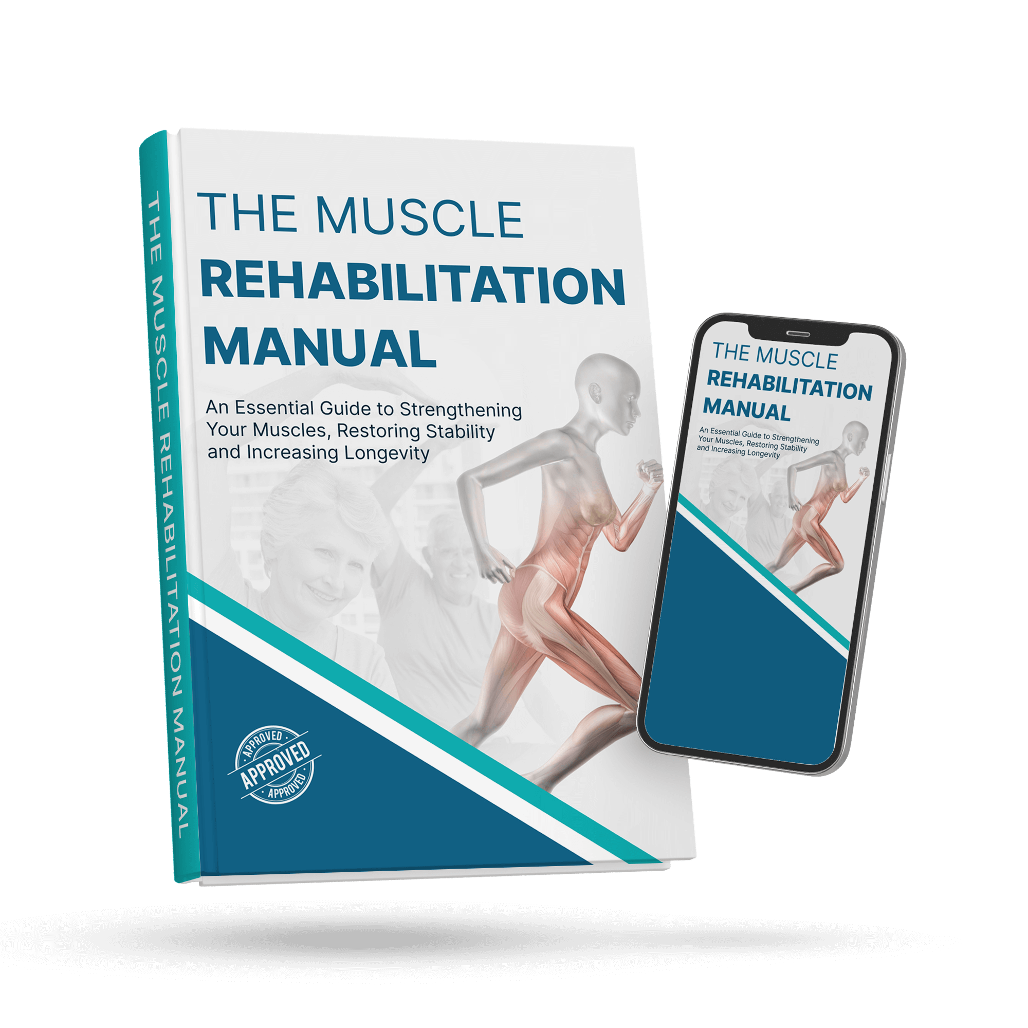 Muscle Rehabilitation Manual
